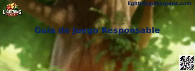 Guía de juego responsable de Lightning Dice